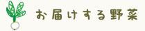 お届けする野菜
